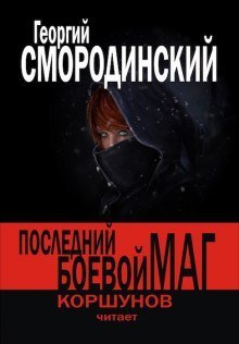 постер аудиокниги Последний Боевой Маг