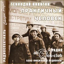 постер аудиокниги Практичный человек