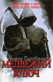 постер аудиокниги Медвежий ключ