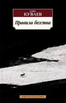 постер аудиокниги Правила бегства