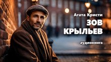 постер аудиокниги Зов крыльев