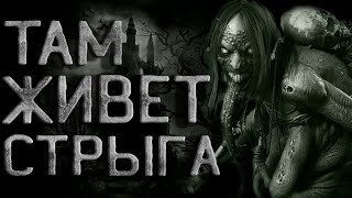 Там живет Стрыга - SMS