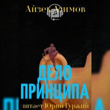 постер аудиокниги Дело принципа