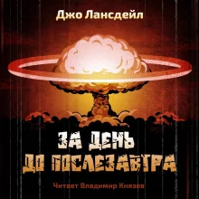 постер аудиокниги За день до послезавтра