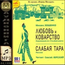 постер аудиокниги Любовь и Коварство, Слабая тара