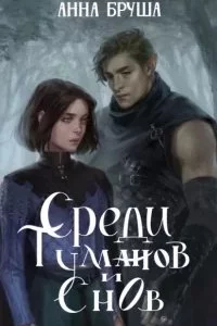 постер аудиокниги Королевство туманов 1. Среди туманов и снов - Анна Бруша