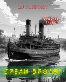 постер аудиокниги Среди бродяг