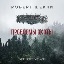 постер аудиокниги Проблемы охоты