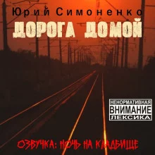 постер аудиокниги Дорога домой