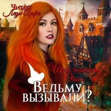 постер аудиокниги Ведьму вызывали?