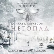 постер аудиокниги Снегопад