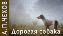 постер аудиокниги Дорогая собака