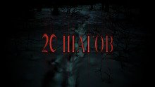 постер аудиокниги 20 шагов