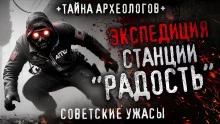 постер аудиокниги Станция «Радость»