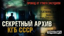 постер аудиокниги Провод от утюга засудили