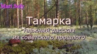 постер аудиокниги Тамарка - Юрий Насыбуллин