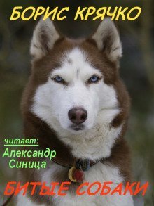 постер аудиокниги Битые собаки