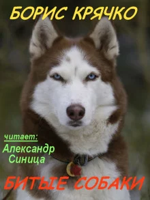 постер аудиокниги Битые собаки
