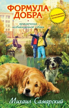 постер аудиокниги Формула добра