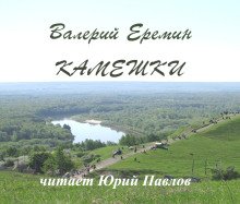 постер аудиокниги Камешки