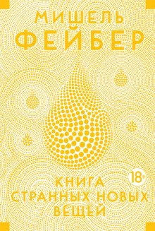 постер аудиокниги Книга странных новых вещей