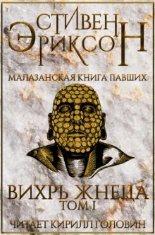 постер аудиокниги Вихрь Жнеца. Том 1