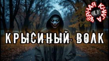 постер аудиокниги Крысиный волк