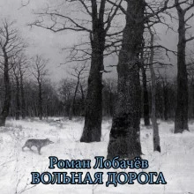 постер аудиокниги Вольная дорога