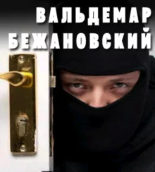 постер аудиокниги Профессионал
