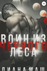 постер аудиокниги Мир Трибунала 4. Воин из Черного леса - Диана Маш