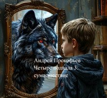 постер аудиокниги Четыре подвала 3: сумасшествие