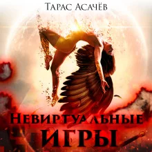 постер аудиокниги Невиртуальные игры