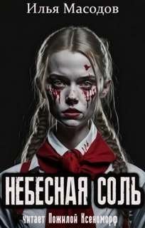Небесная соль (сборник) - Масодов Илья