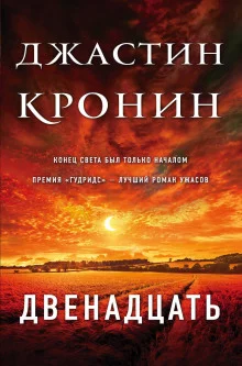 постер аудиокниги Двенадцать