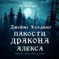 постер аудиокниги Пакости дракона Алекса - Джеймс Холдинг