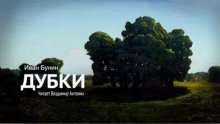 постер аудиокниги Дубки