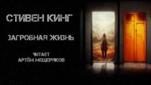 постер аудиокниги Загробная жизнь