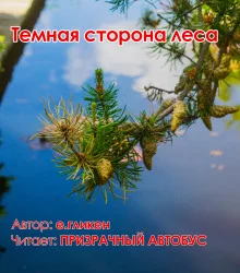 постер аудиокниги Темная сторона леса