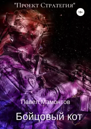 постер аудиокниги Бойцовый кот - Павел Мамонтов