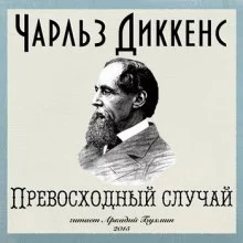 постер аудиокниги Превосходный случай