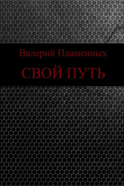 постер аудиокниги Свой Путь - Валерий Пламенных
