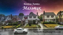 постер аудиокниги Мальчик