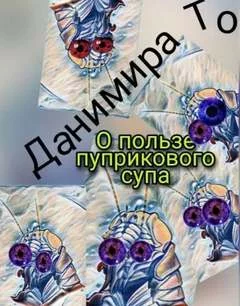 постер аудиокниги О пользе пуприкового супа: история третья - Маета Аона - То Данимира