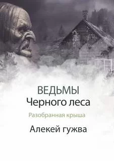 постер аудиокниги Разобранная крыша - Алексей Гужва