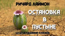 постер аудиокниги Остановка в пустыне