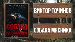 постер аудиокниги Собака мясника - Точинов Виктор