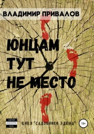 постер аудиокниги Юнцам тут не место