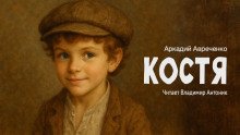 постер аудиокниги Костя