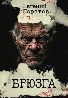 постер аудиокниги Брюзга