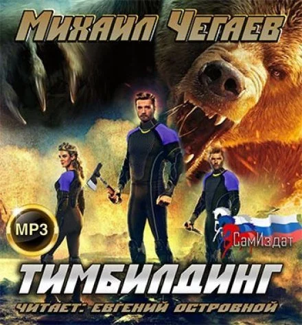 постер аудиокниги Тимбилдинг - Михаил Чегаев